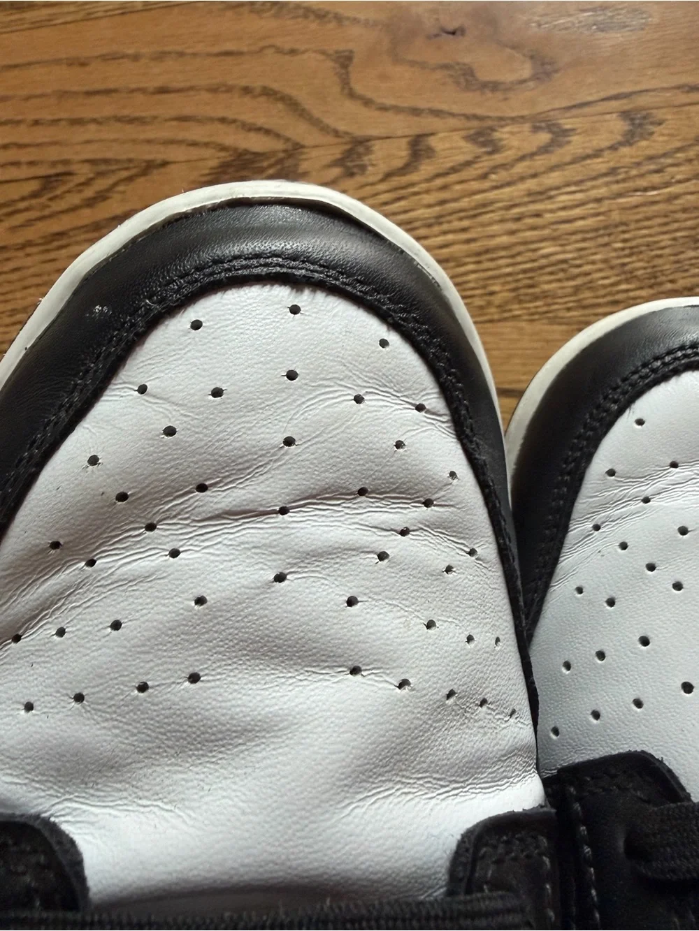 Nike dunk sneakers